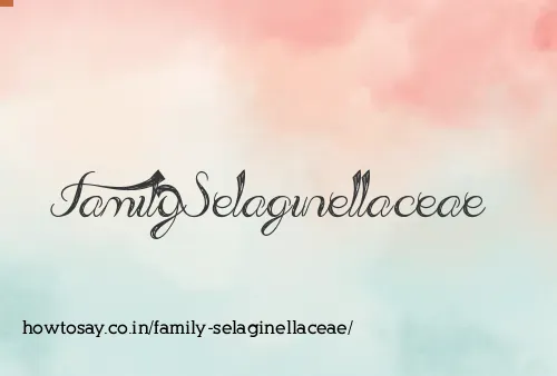 Family Selaginellaceae