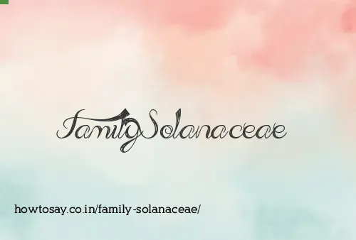 Family Solanaceae
