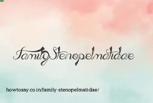 Family Stenopelmatidae