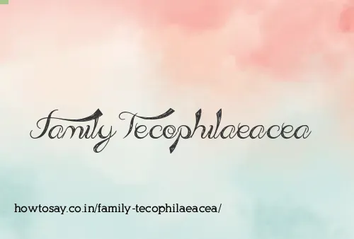 Family Tecophilaeacea