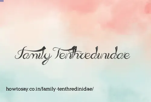Family Tenthredinidae