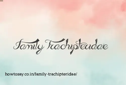 Family Trachipteridae