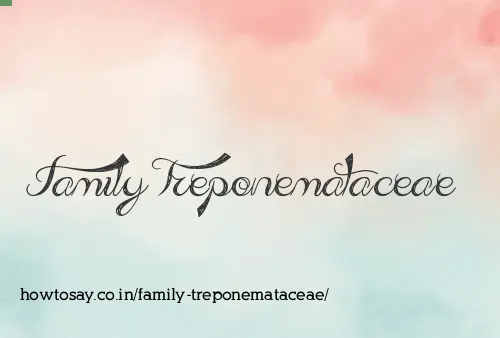 Family Treponemataceae