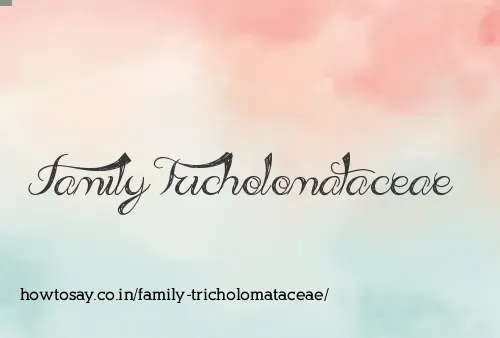 Family Tricholomataceae