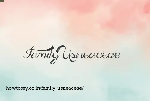 Family Usneaceae