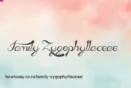 Family Zygophyllaceae