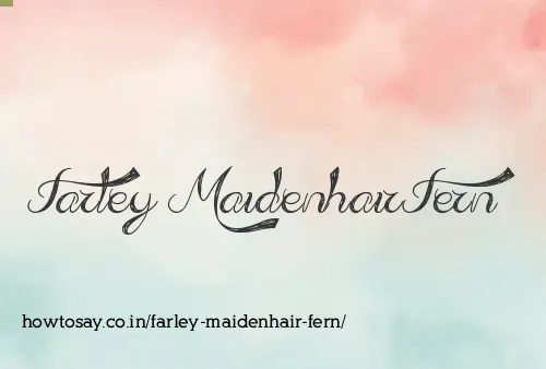Farley Maidenhair Fern