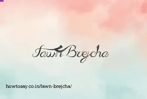 Fawn Brejcha
