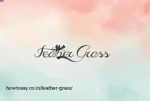 Feather Grass