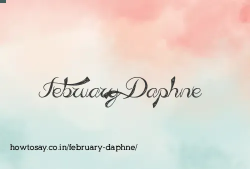 February Daphne