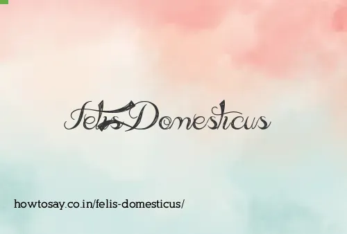 Felis Domesticus