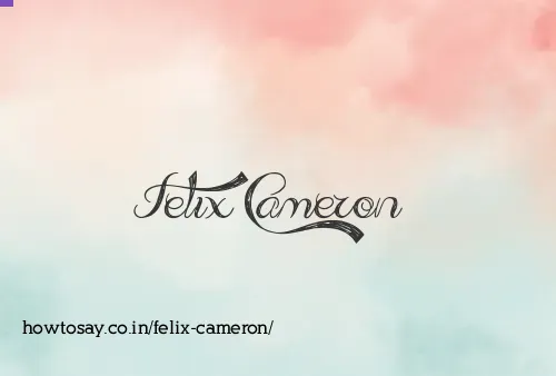 Felix Cameron