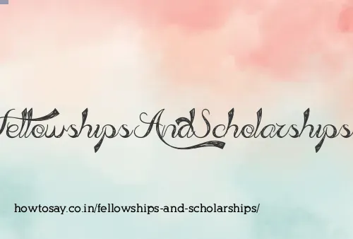 Fellowships And Scholarships