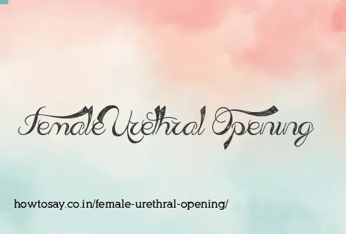 Female Urethral Opening
