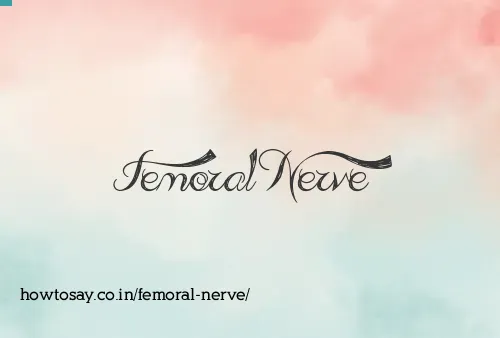 Femoral Nerve