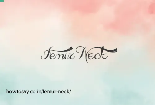 Femur Neck