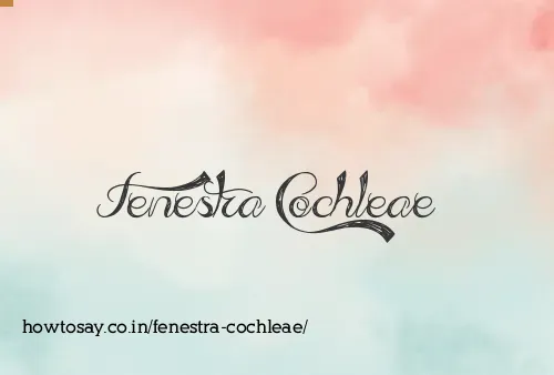 Fenestra Cochleae