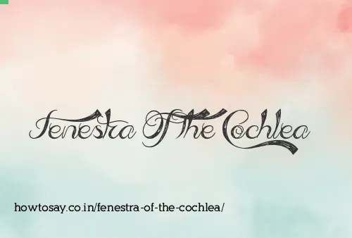 Fenestra Of The Cochlea