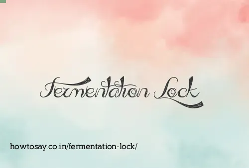 Fermentation Lock