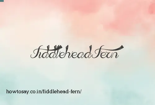 Fiddlehead Fern