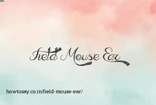 Field Mouse Ear