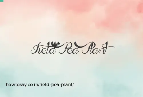 Field Pea Plant