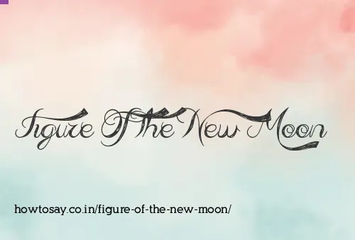 Figure Of The New Moon