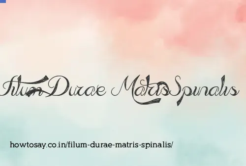 Filum Durae Matris Spinalis