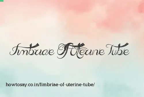 Fimbriae Of Uterine Tube