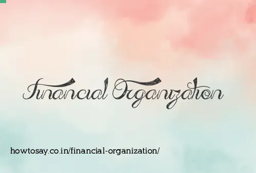 Financial Organization