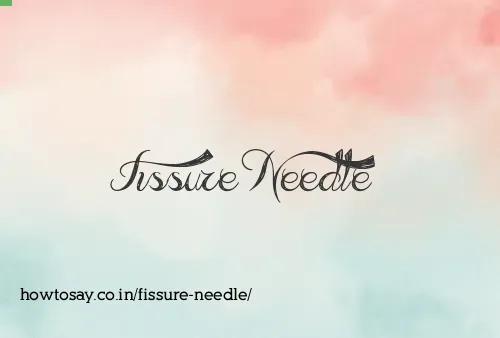 Fissure Needle