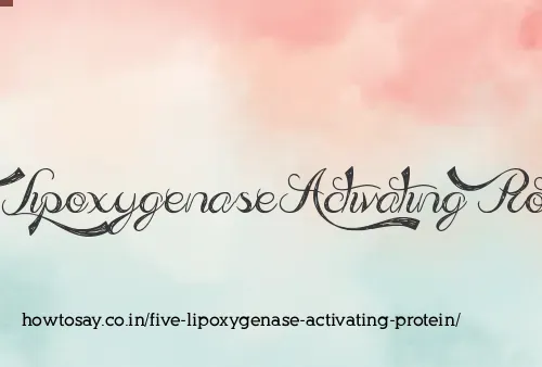 Five Lipoxygenase Activating Protein