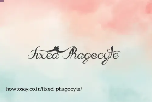 Fixed Phagocyte