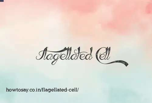 Flagellated Cell