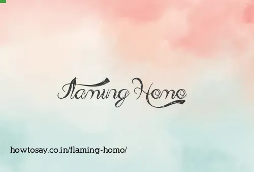 Flaming Homo