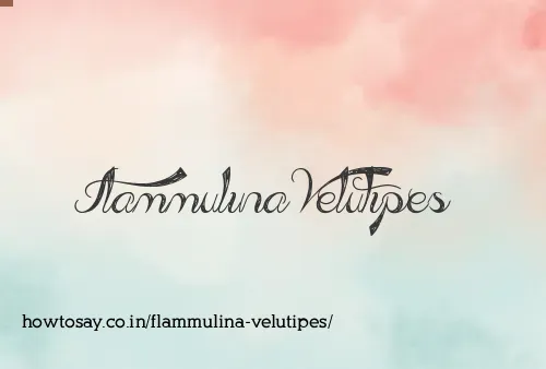 Flammulina Velutipes