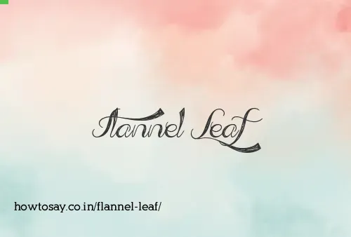 Flannel Leaf