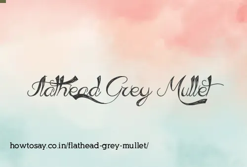 Flathead Grey Mullet