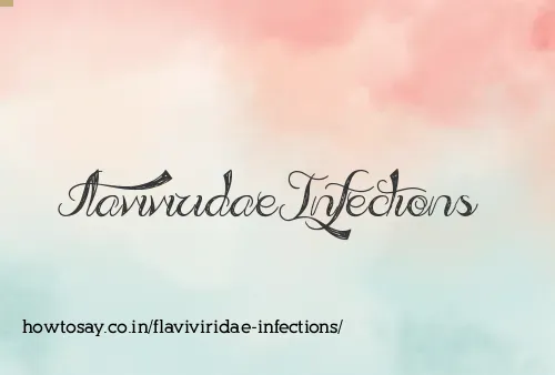 Flaviviridae Infections