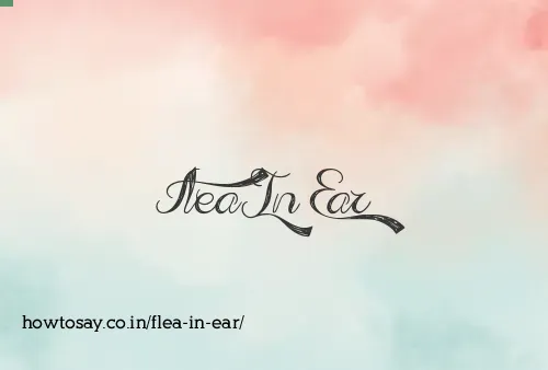 Flea In Ear