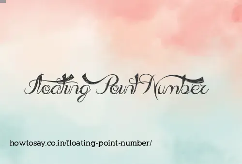 Floating Point Number