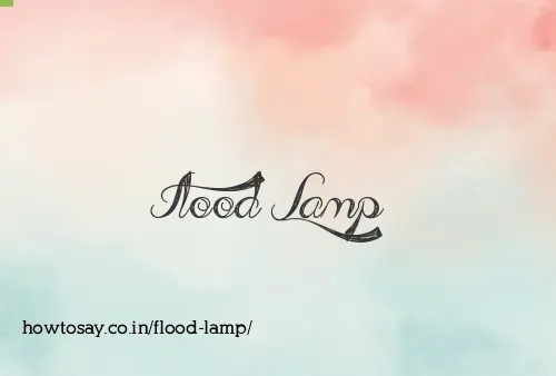 Flood Lamp