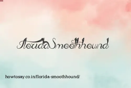 Florida Smoothhound