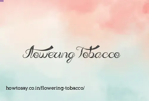 Flowering Tobacco