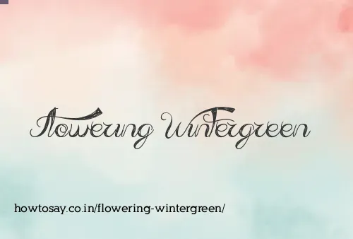 Flowering Wintergreen