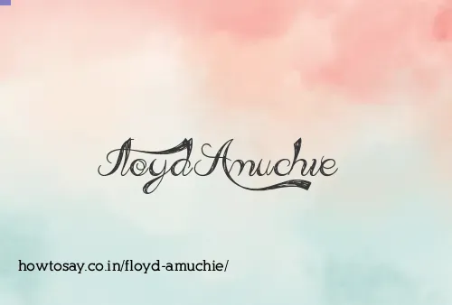 Floyd Amuchie