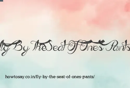 Fly By The Seat Of Ones Pants