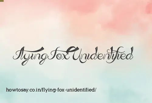 Flying Fox Unidentified