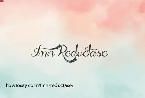 Fmn Reductase