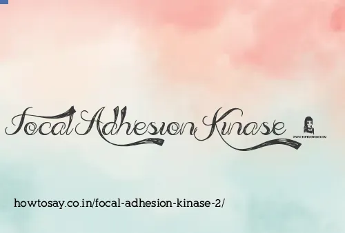 Focal Adhesion Kinase 2
